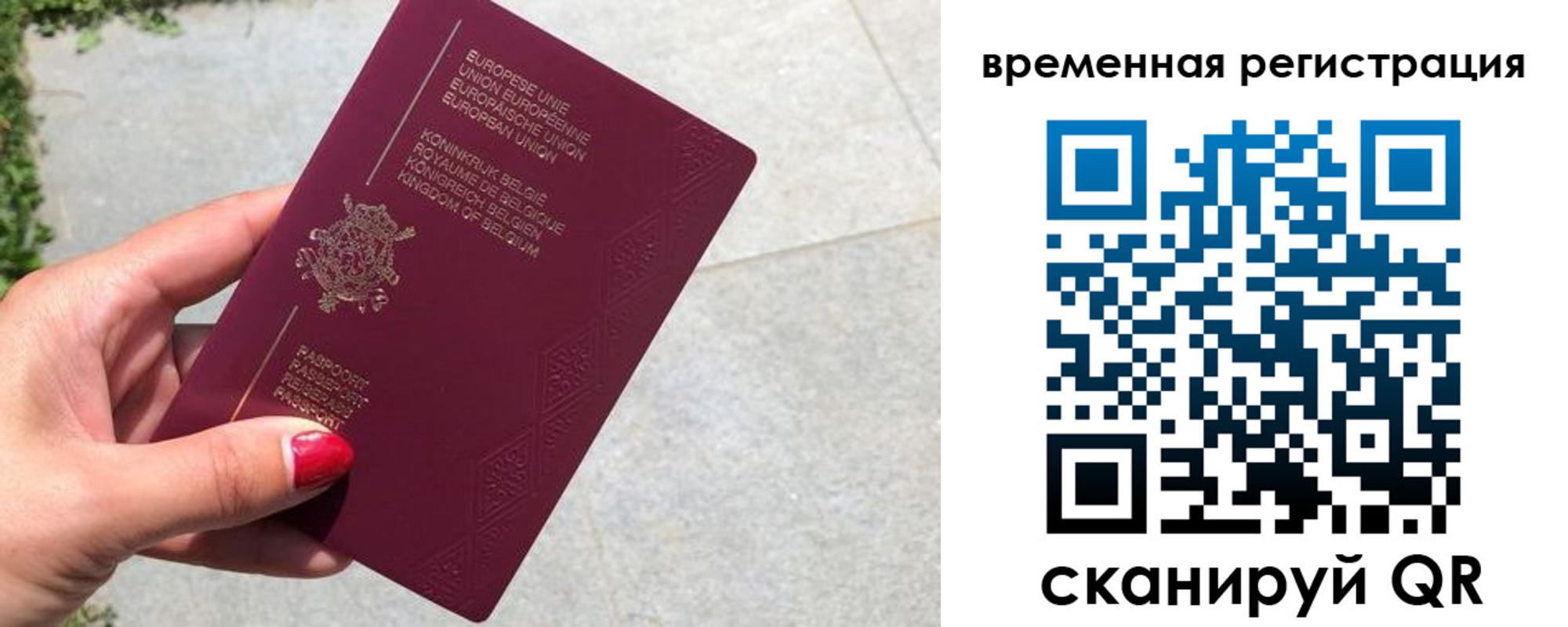 пропишу в квартире в Белой Холунице